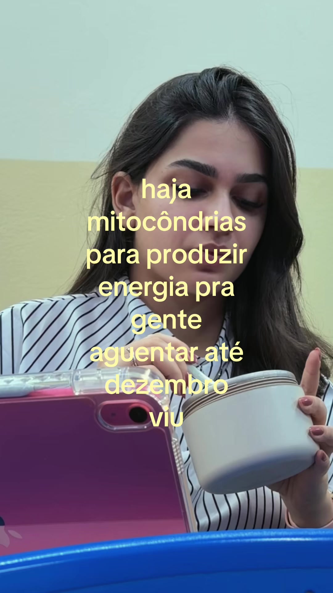 @Sofia Mestriner