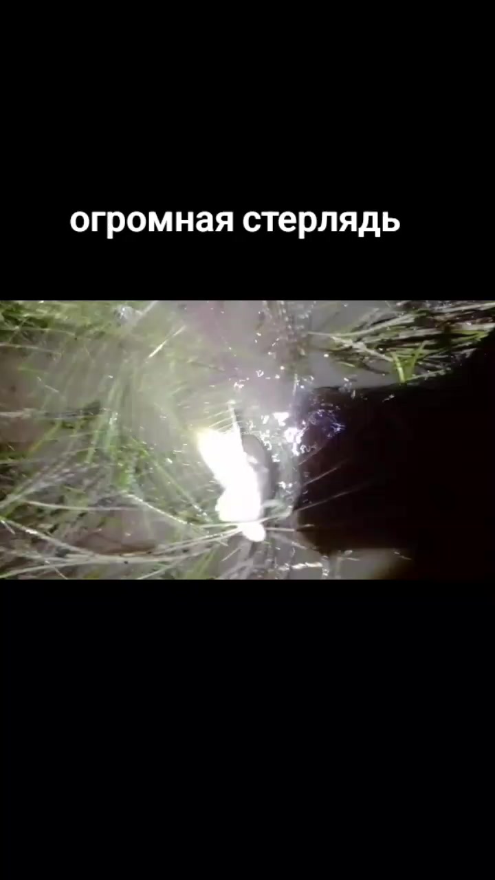 @Балыкчы Малай