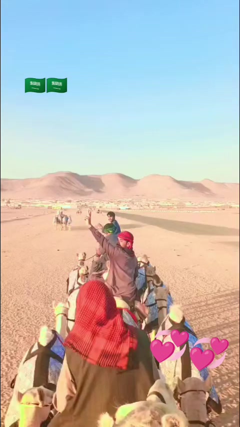 @sajjadalighamber