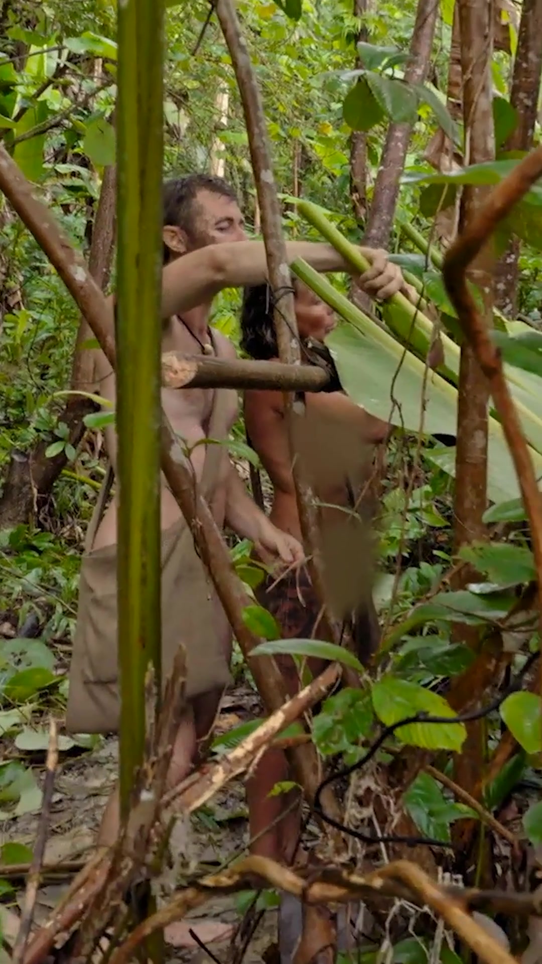 @Discovery