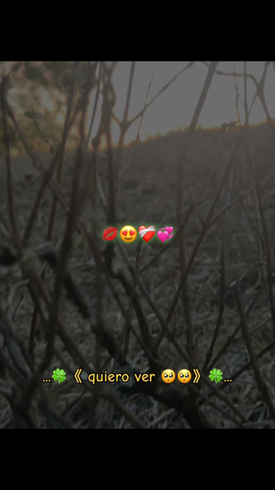 @🎧Rolitas🎶