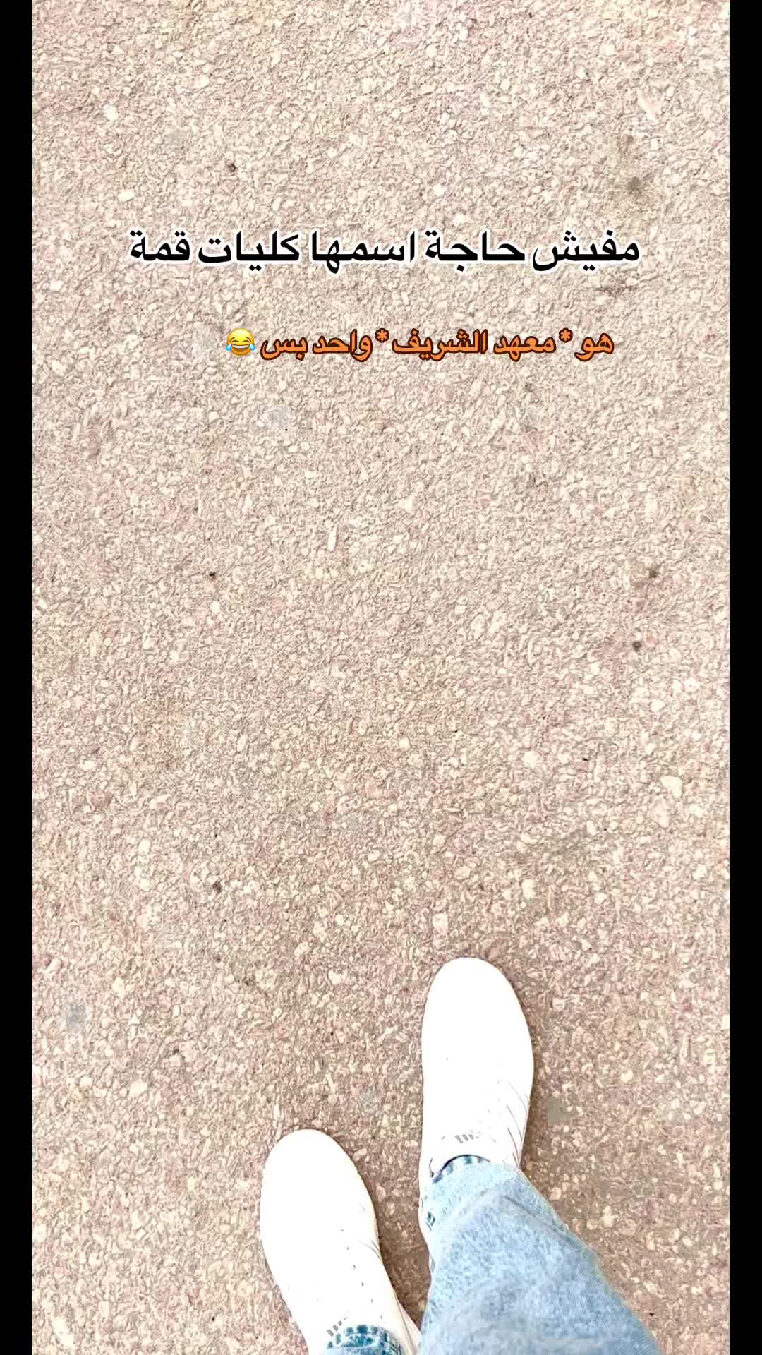 @BeboOo.