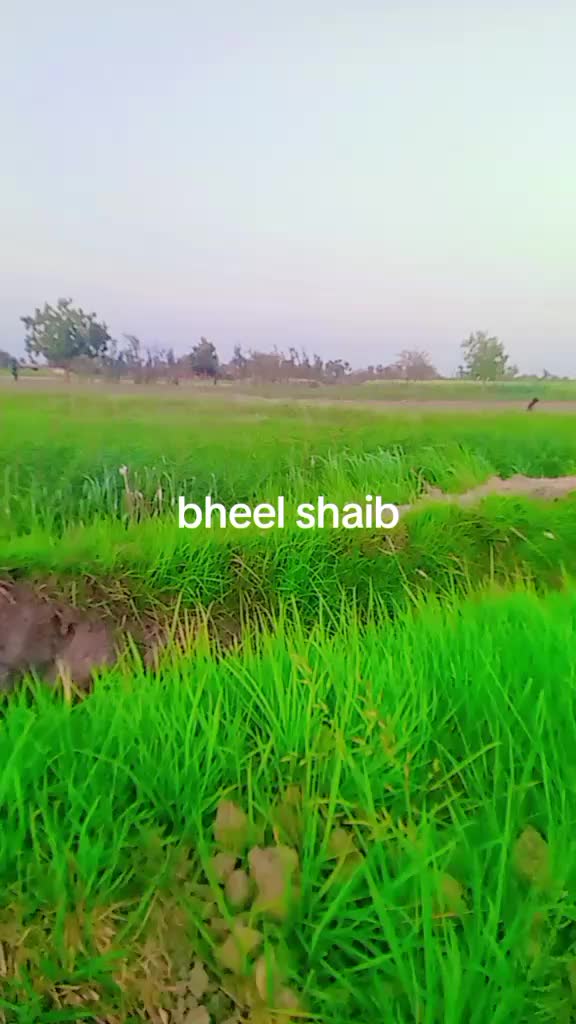 @Leekhraj Bheel
