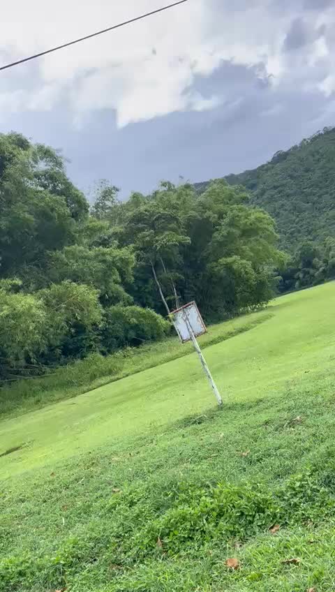 @Tiger🐆