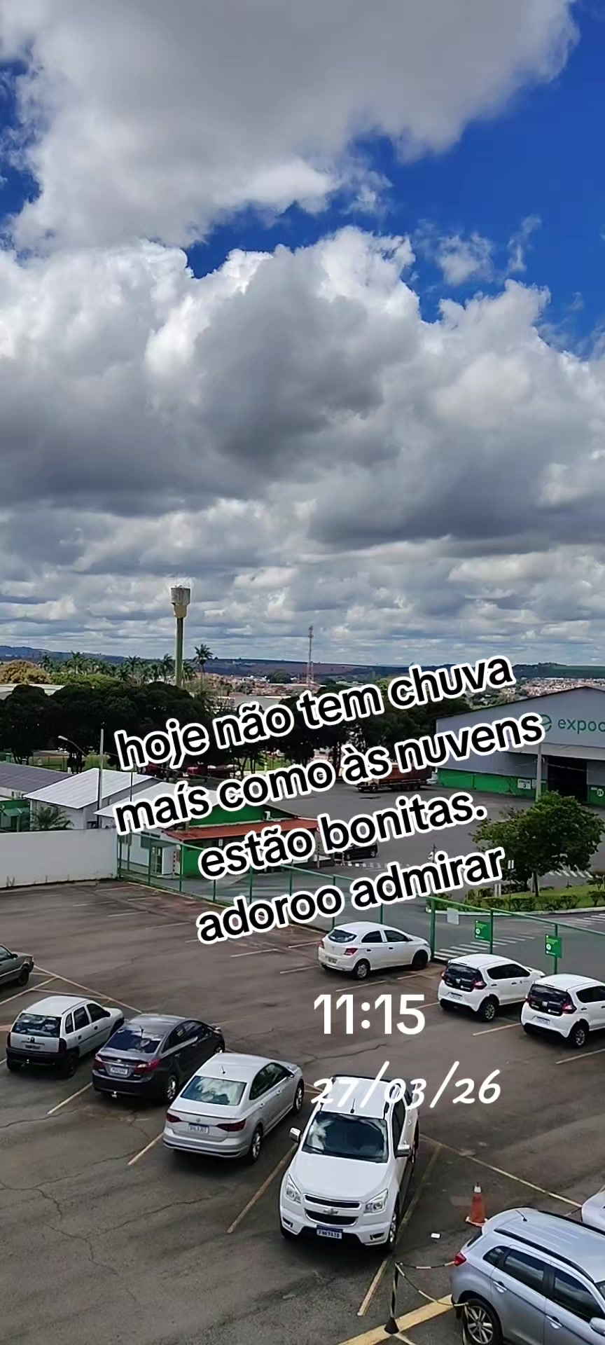 @aparecidamachado303