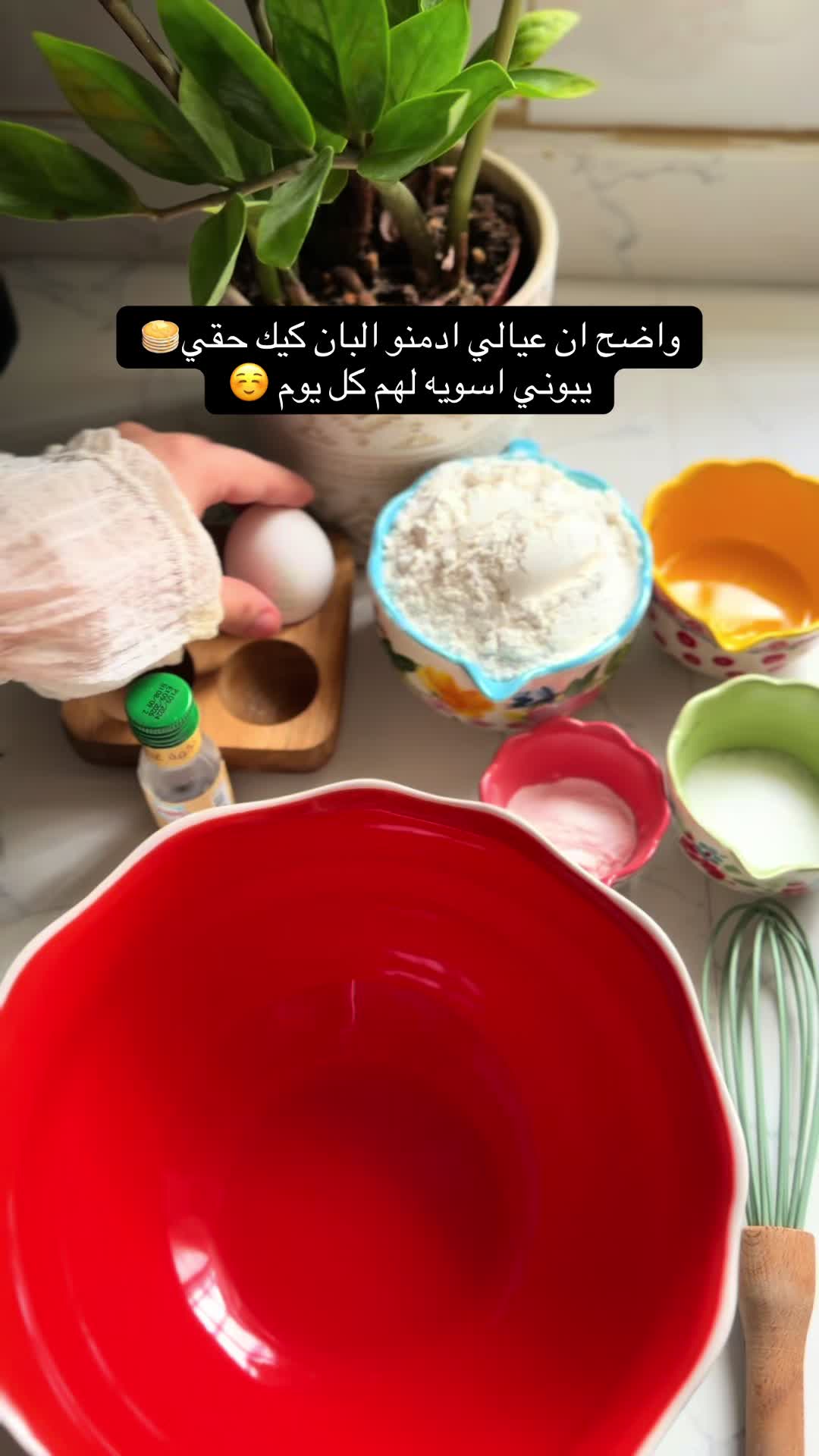 @بلوقر/ وفاء الحربي 📸 UGC