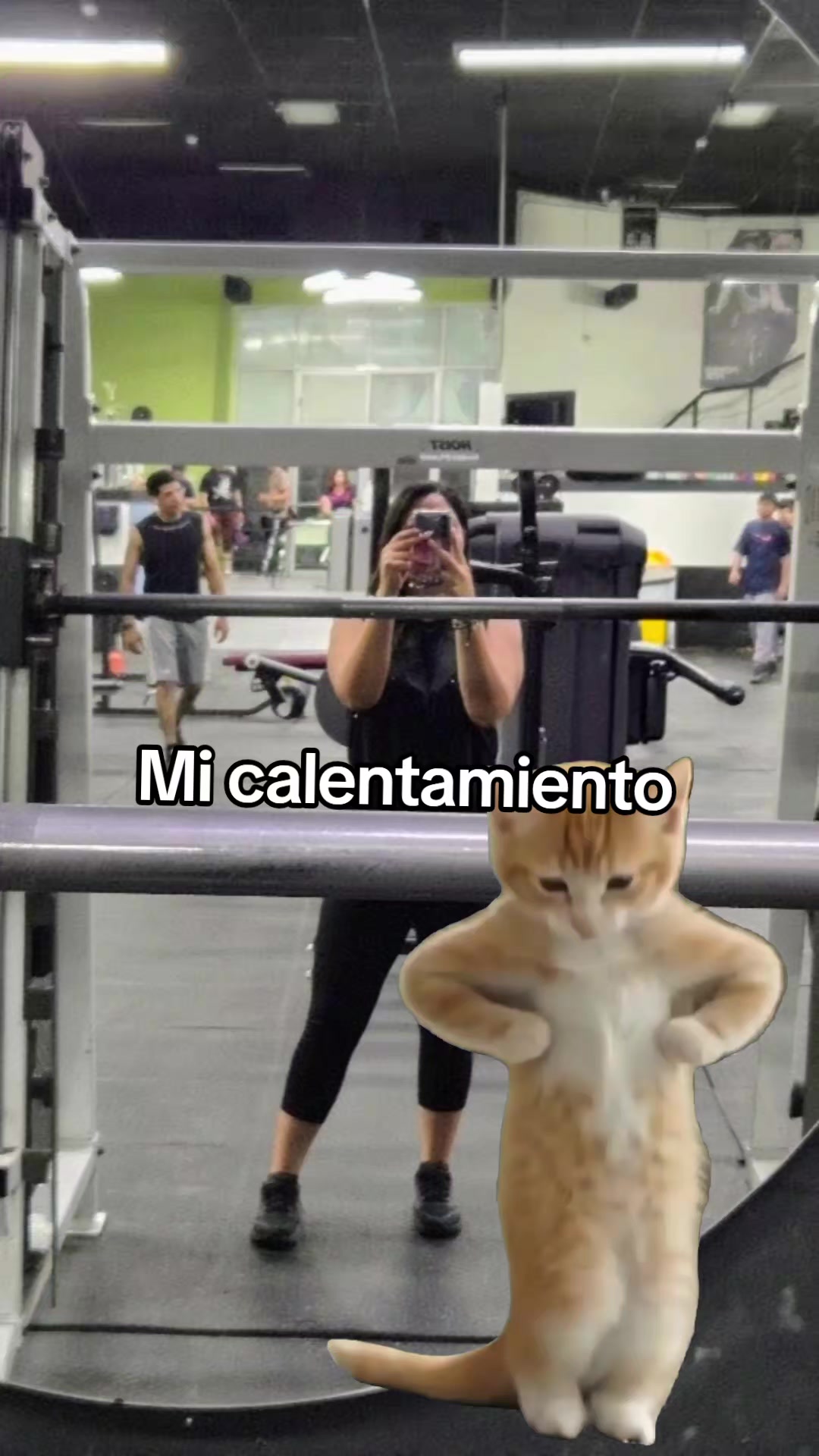 @Denisse V