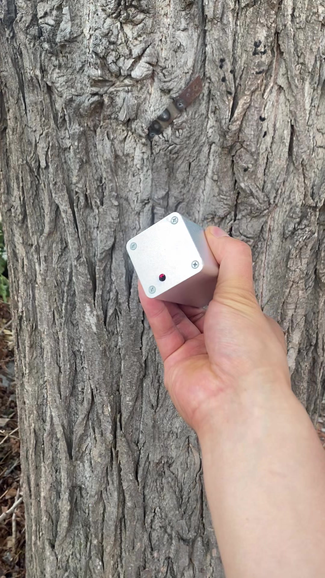 @coolshotlab126