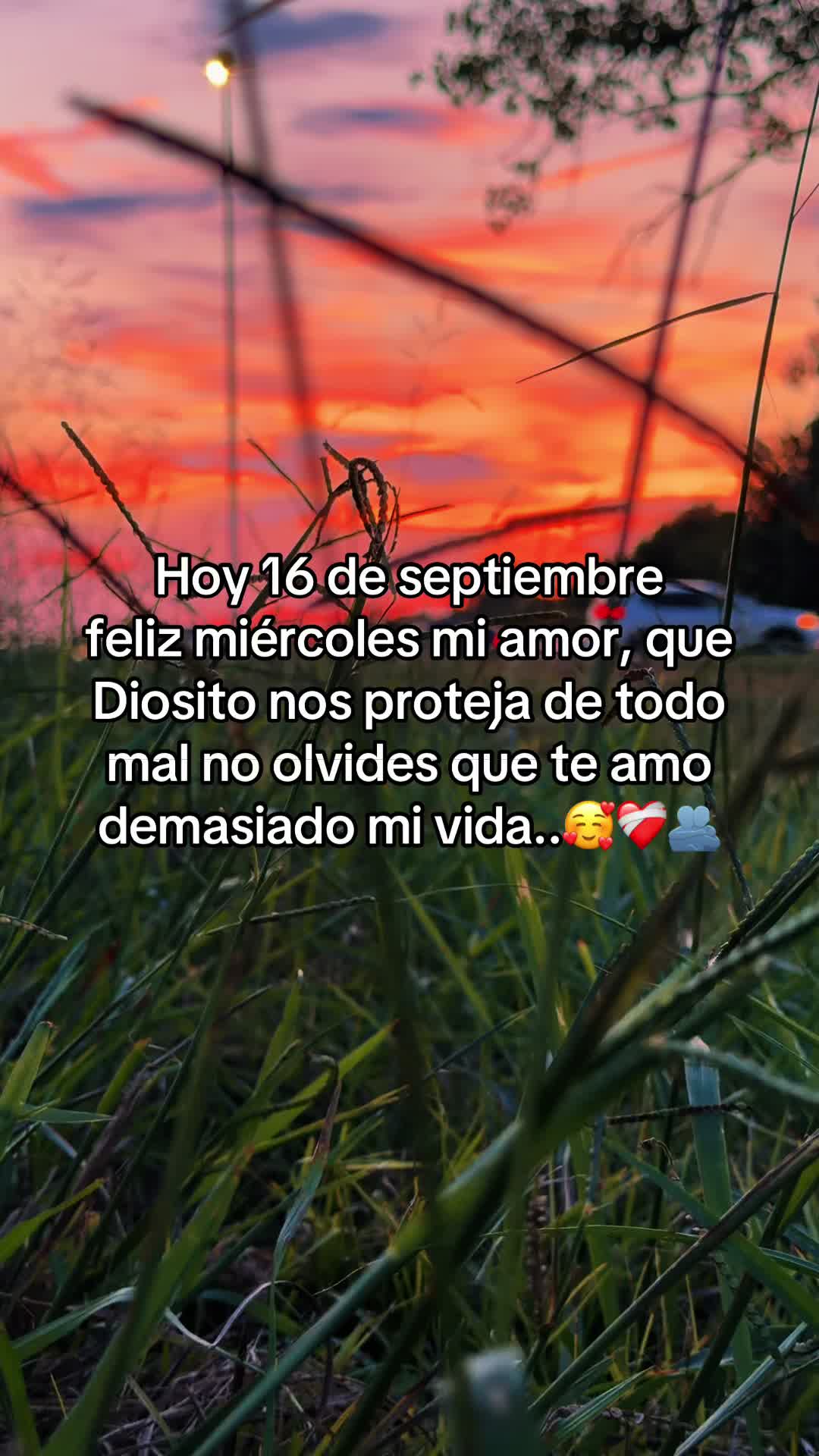 @rolitas502🇬🇹