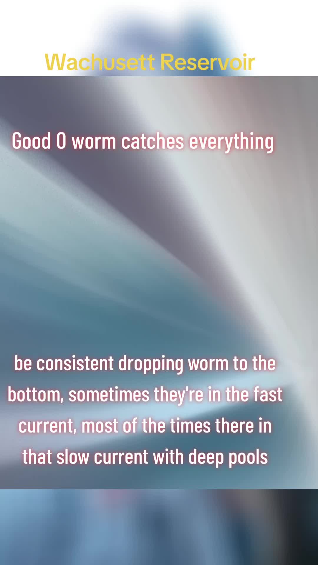 @Carlos Pagan