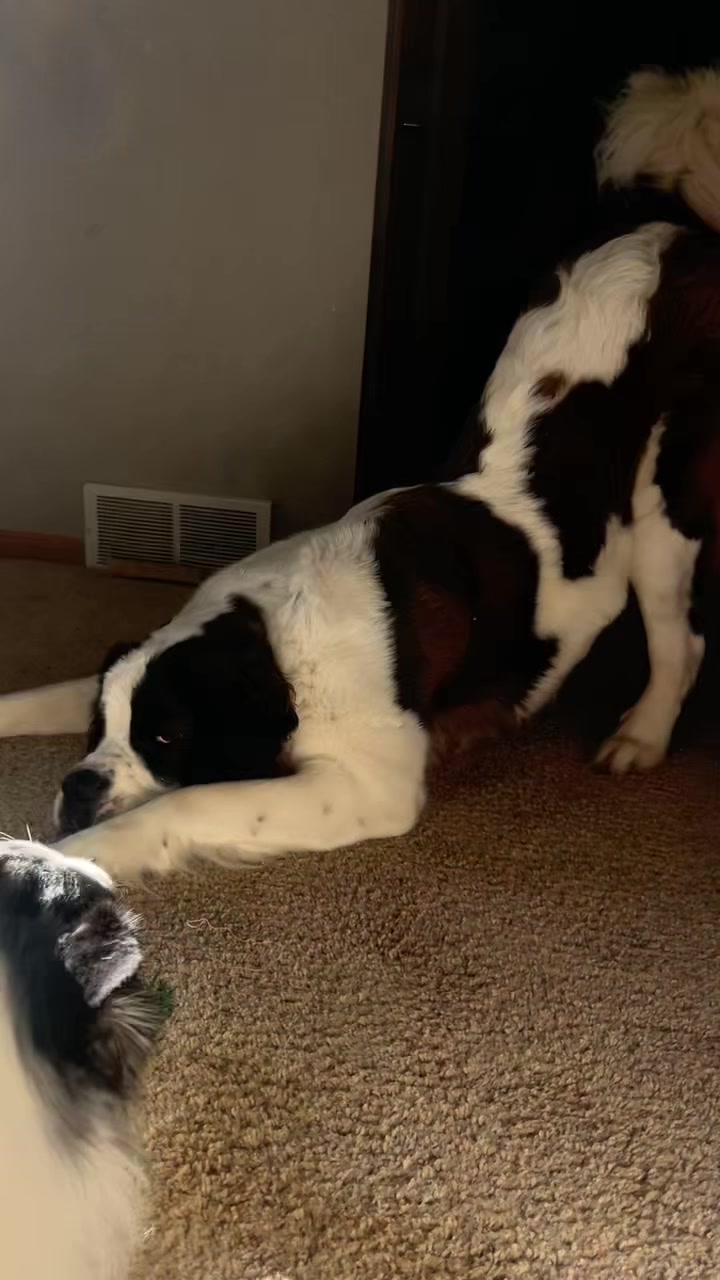@𝐄𝐥𝐥𝐚
