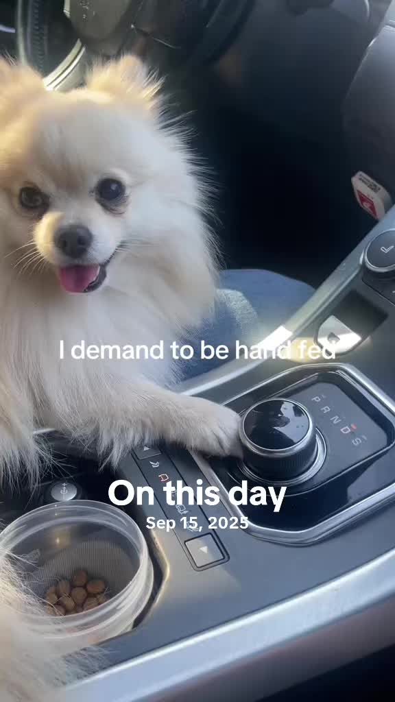 @beingmilothepom