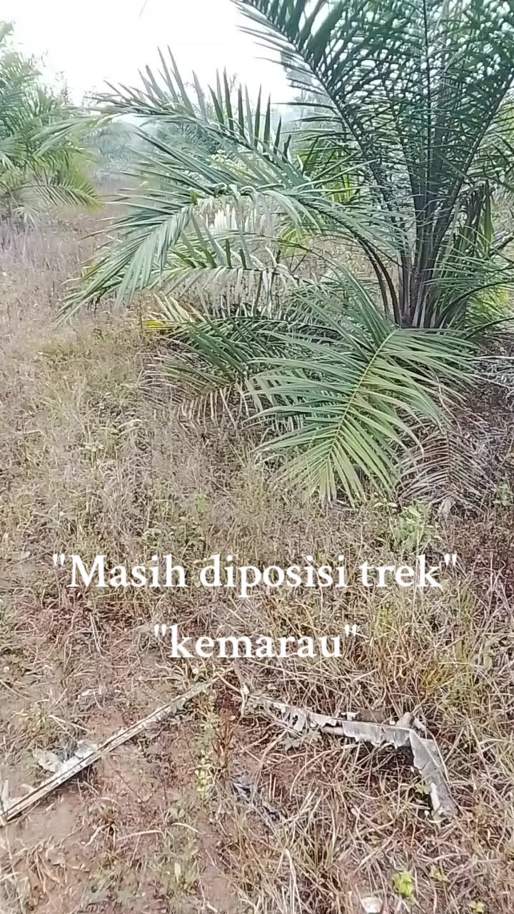@ANEL ARRO.