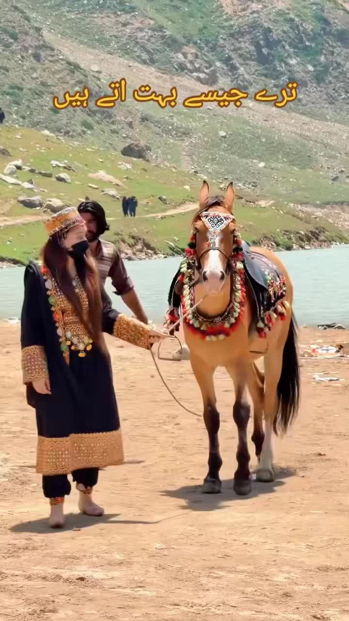 @❣️شہزادی ❣️