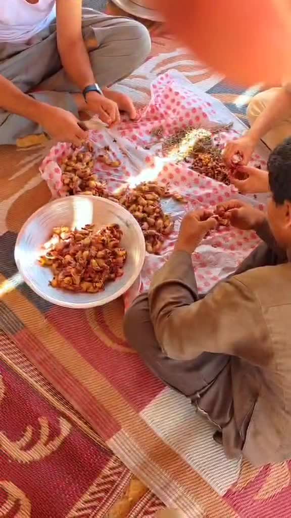@حكيم عياد المغواري