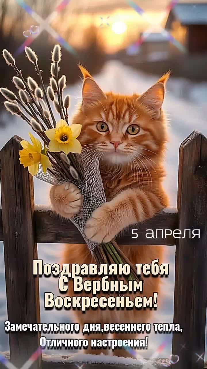 @Елена