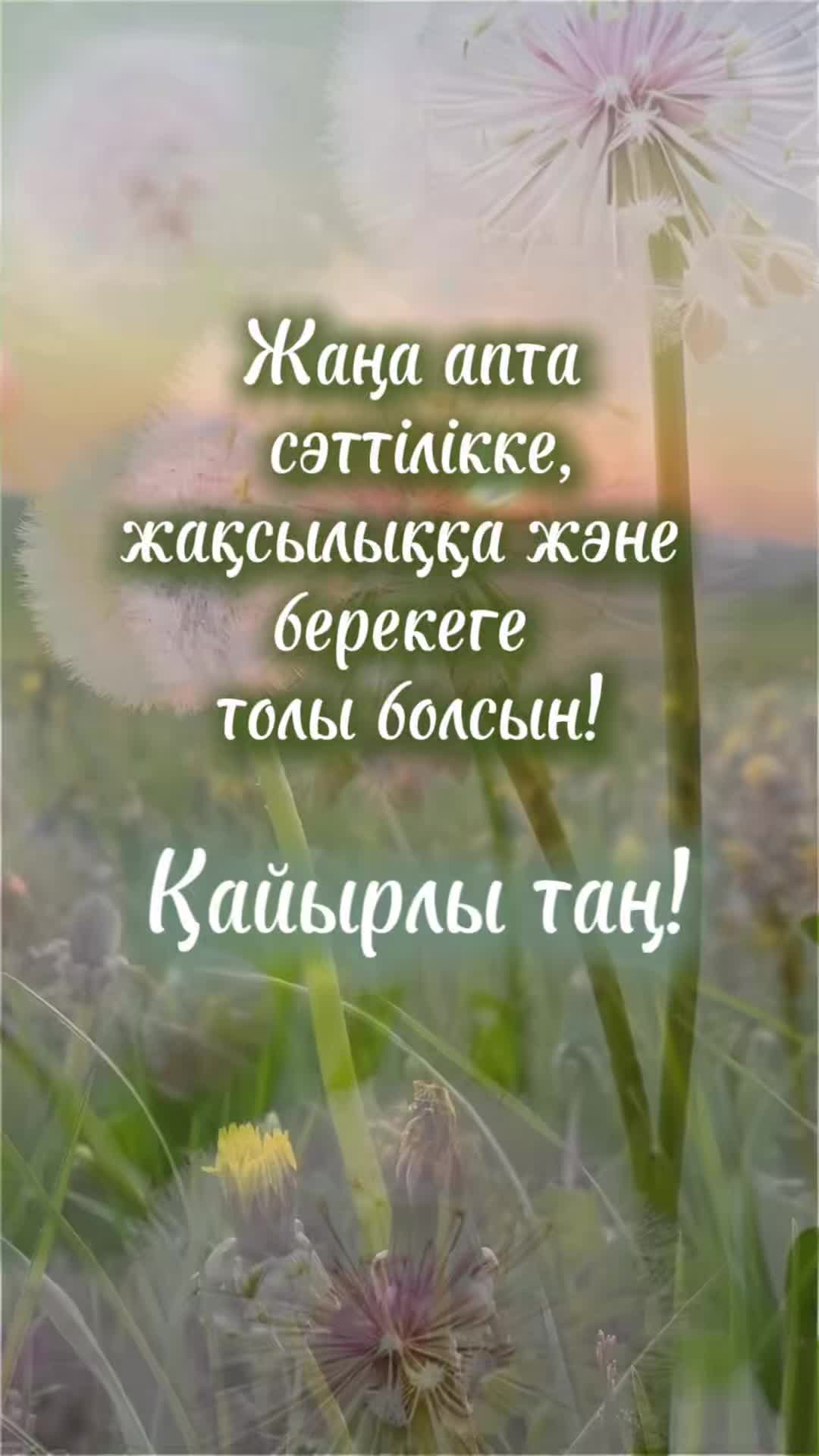 @aray_dinasil