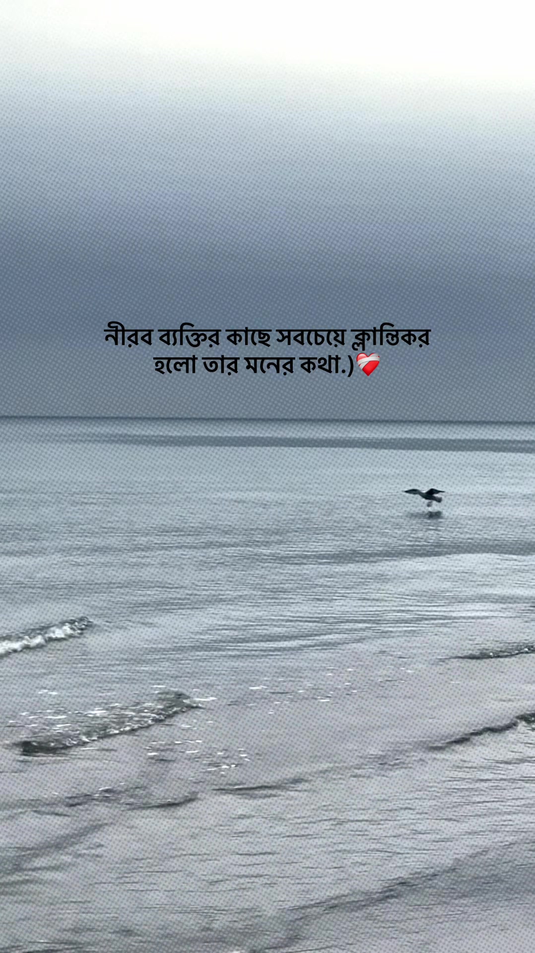 @आईएएन ┊🐥