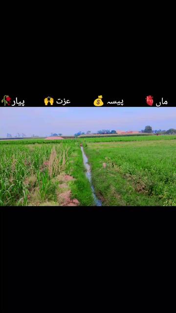 @🎖️ADEELKING🎋
