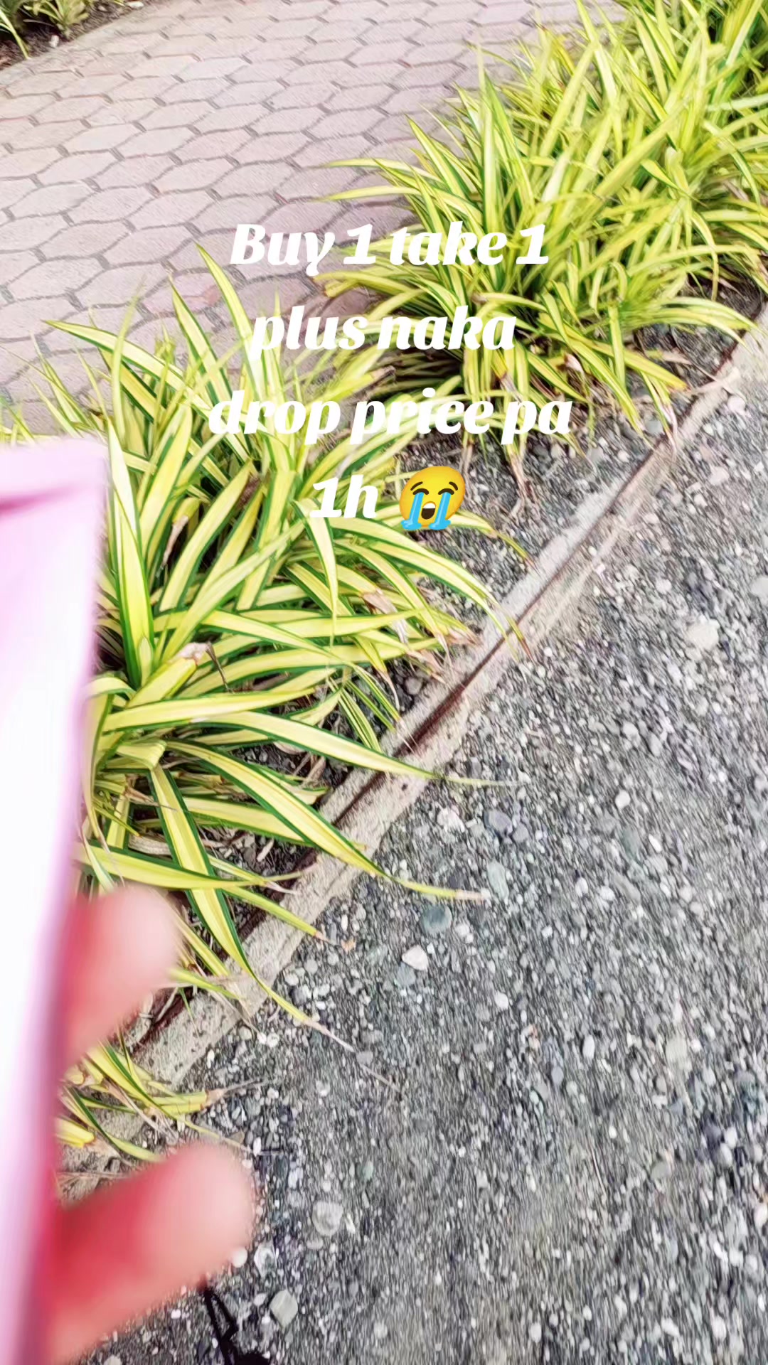@RM