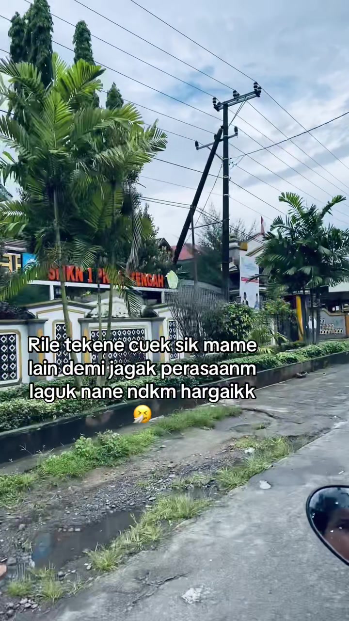 @Neott🦋