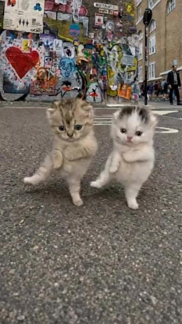 @@ไข่ตุ๋น