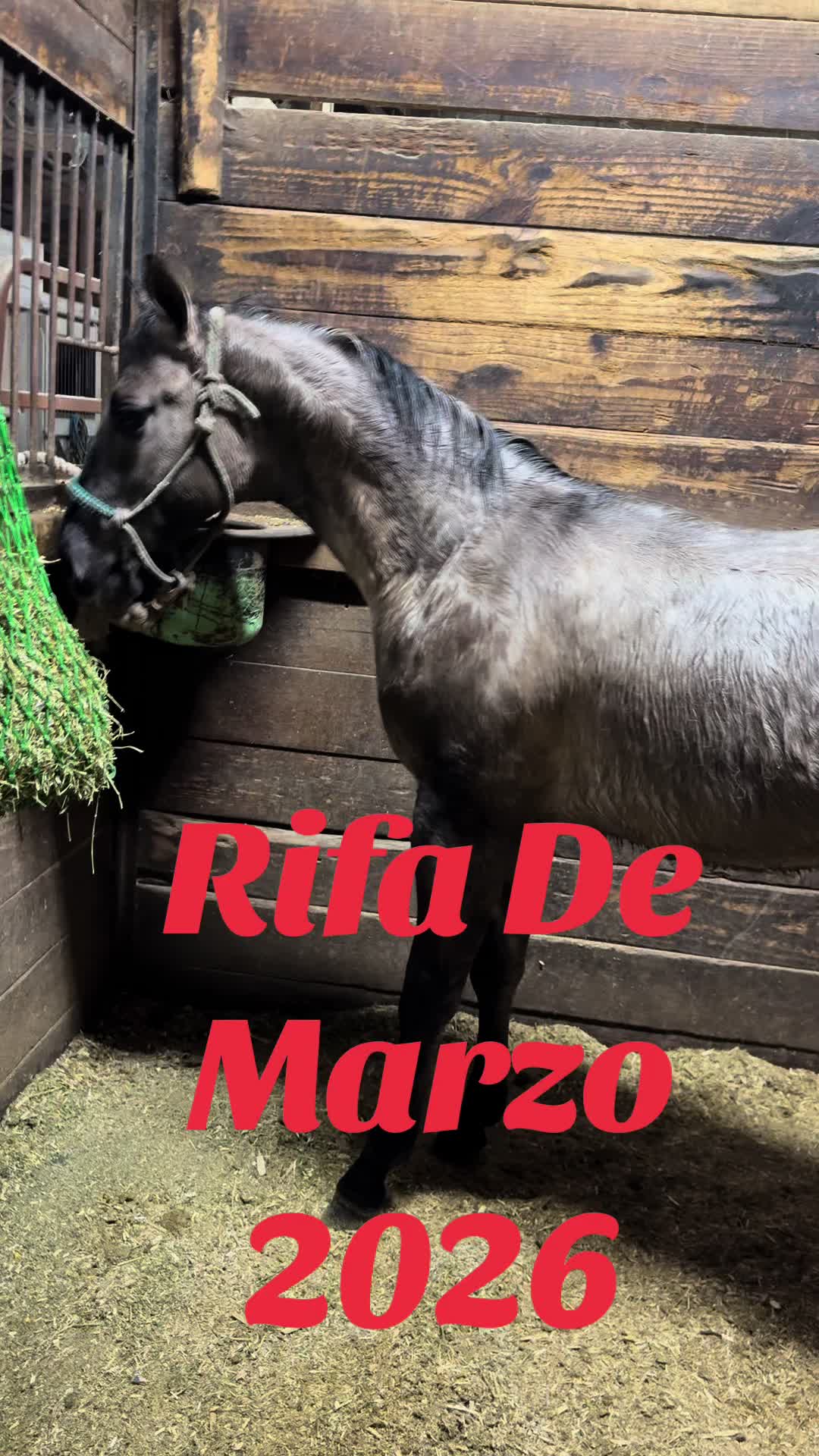 @R.L.P Quarter Horses