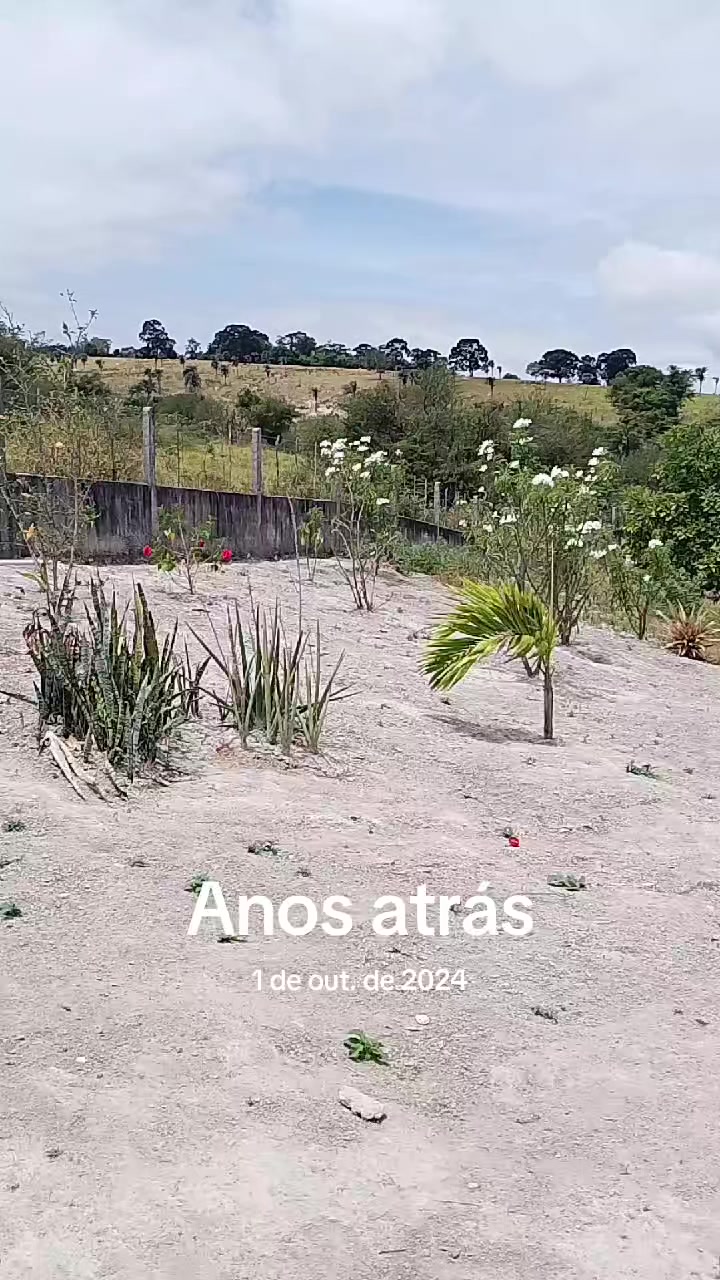 @Poliana Barbosa