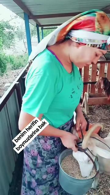 @burçin