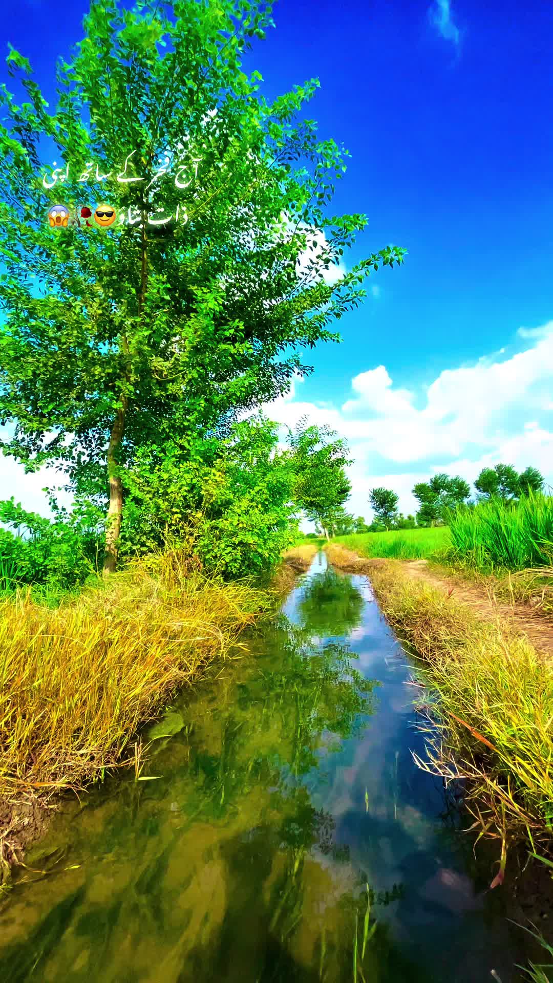 @احمد ہنجرا_بہاولنگر🥰