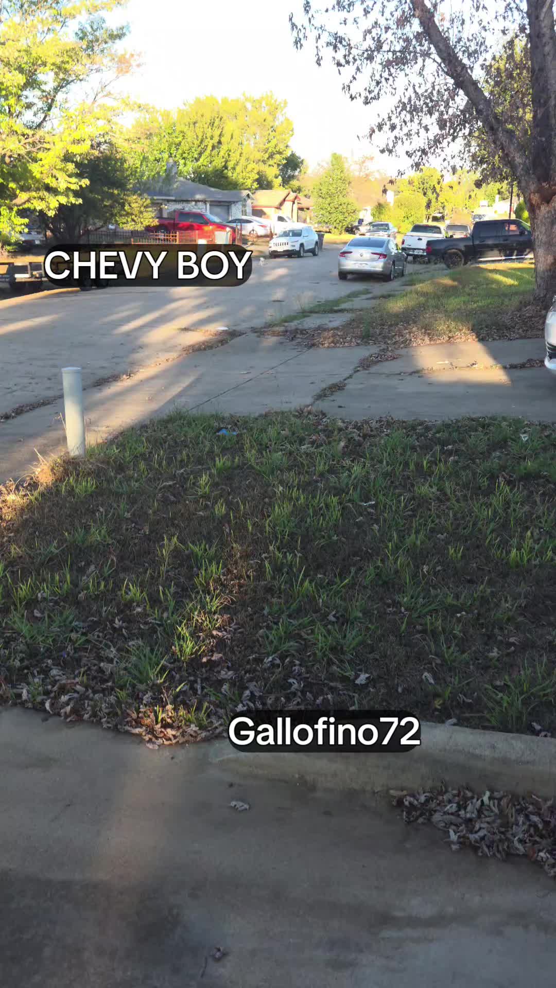 @ElGalloFino