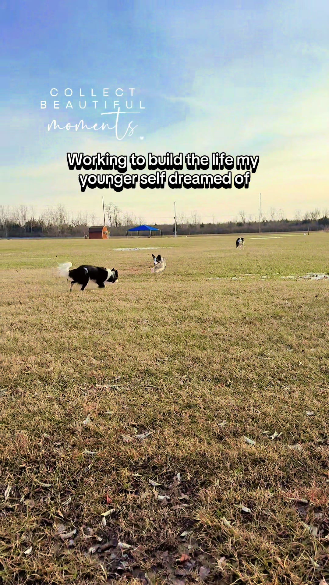@Exploring K9 Training