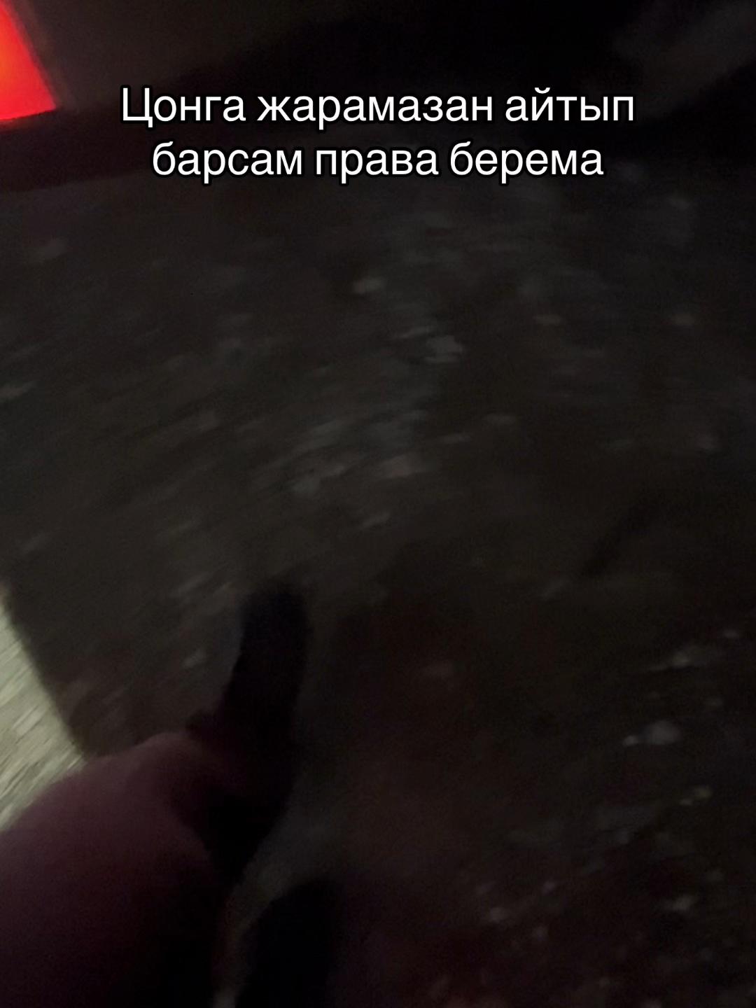 @Sanjar no ne TASHKENBAY 🖐🏻