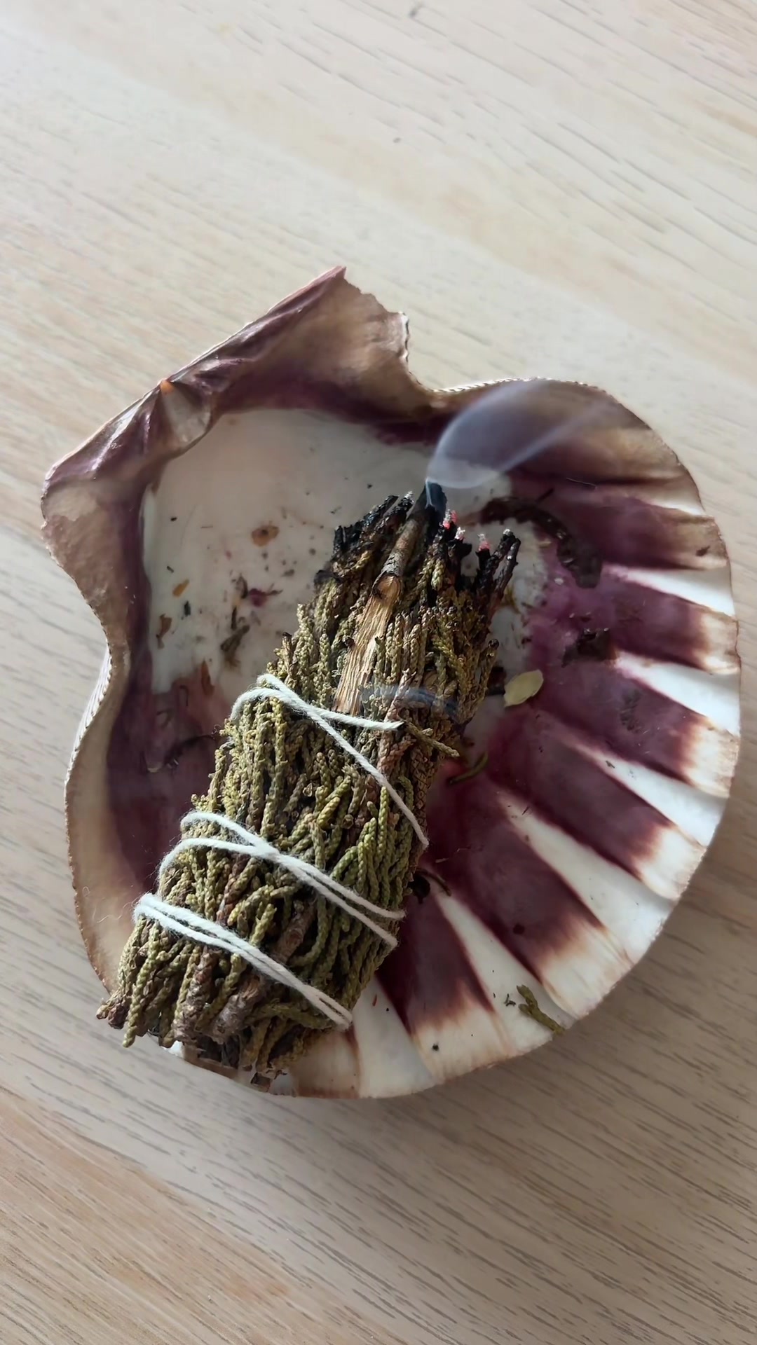 @𝑻𝒉𝒆 𝑫𝒊𝒗𝒊𝒏𝒆 𝑮𝒓𝒐𝒗𝒆