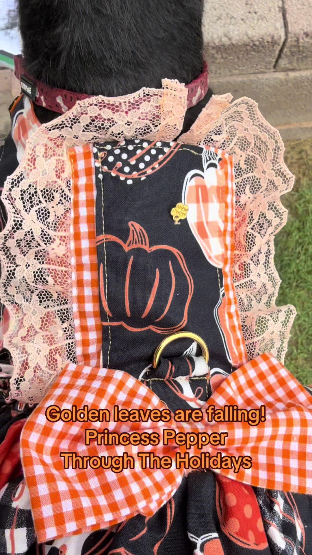 @Princess Pepper