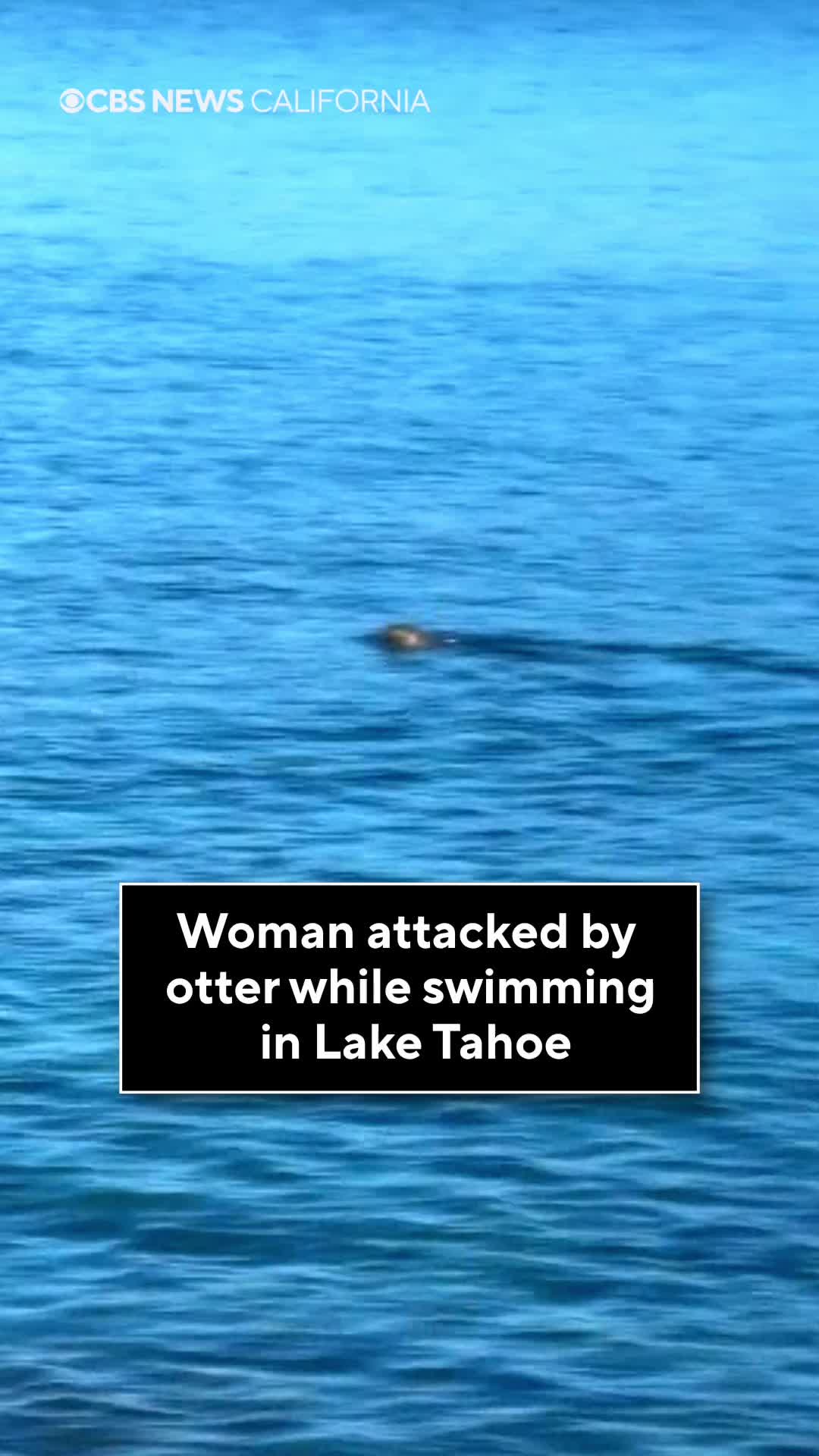 @KPIXTV