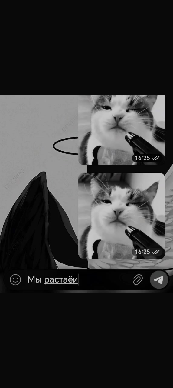 @๐๐๐ค๐๐๐๐๐ฅ๐ ๐๐