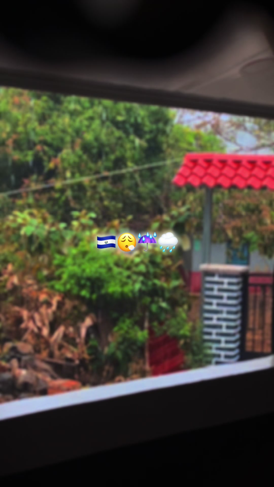 @๐๐ฅ๐ข๐ณ๐๐๐๐ญ๐ก ๐ธ๐ป๐ฆ