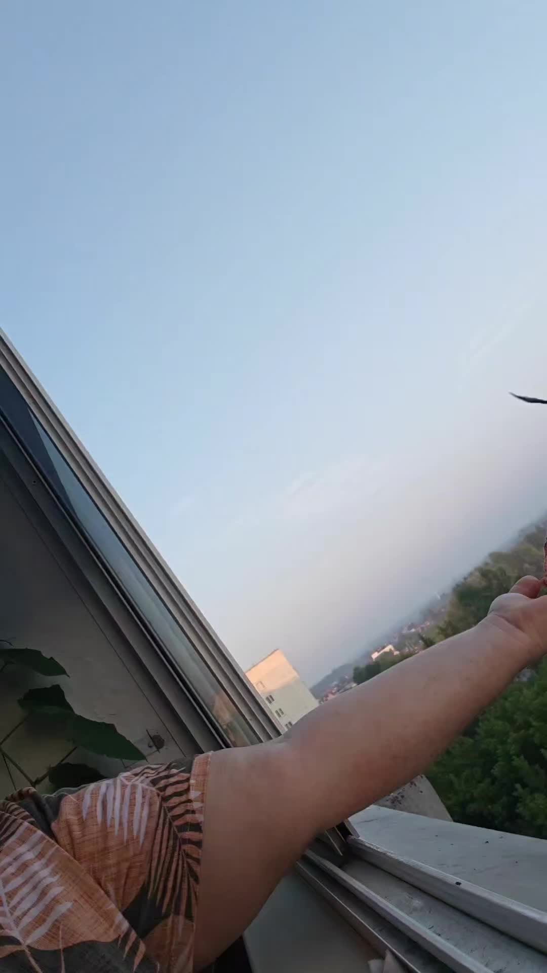 @ewgehka54
