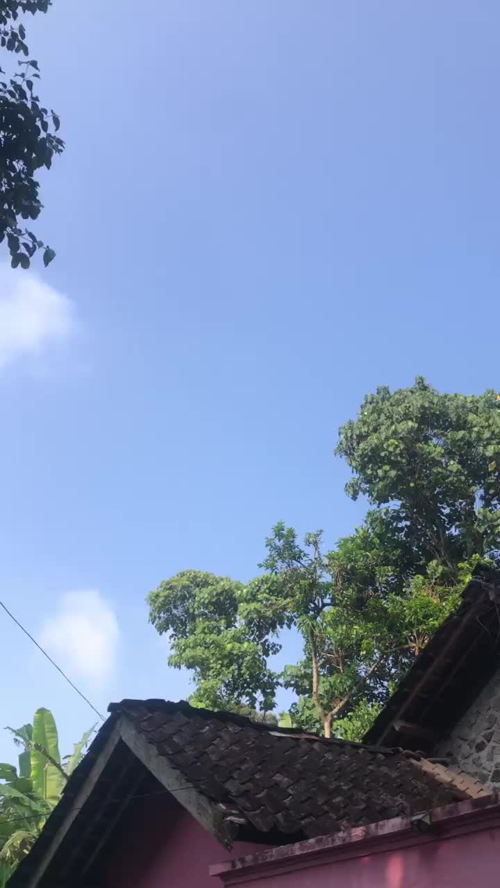 @radong
