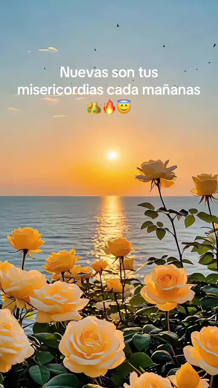 @Ch&aacute;vezmary