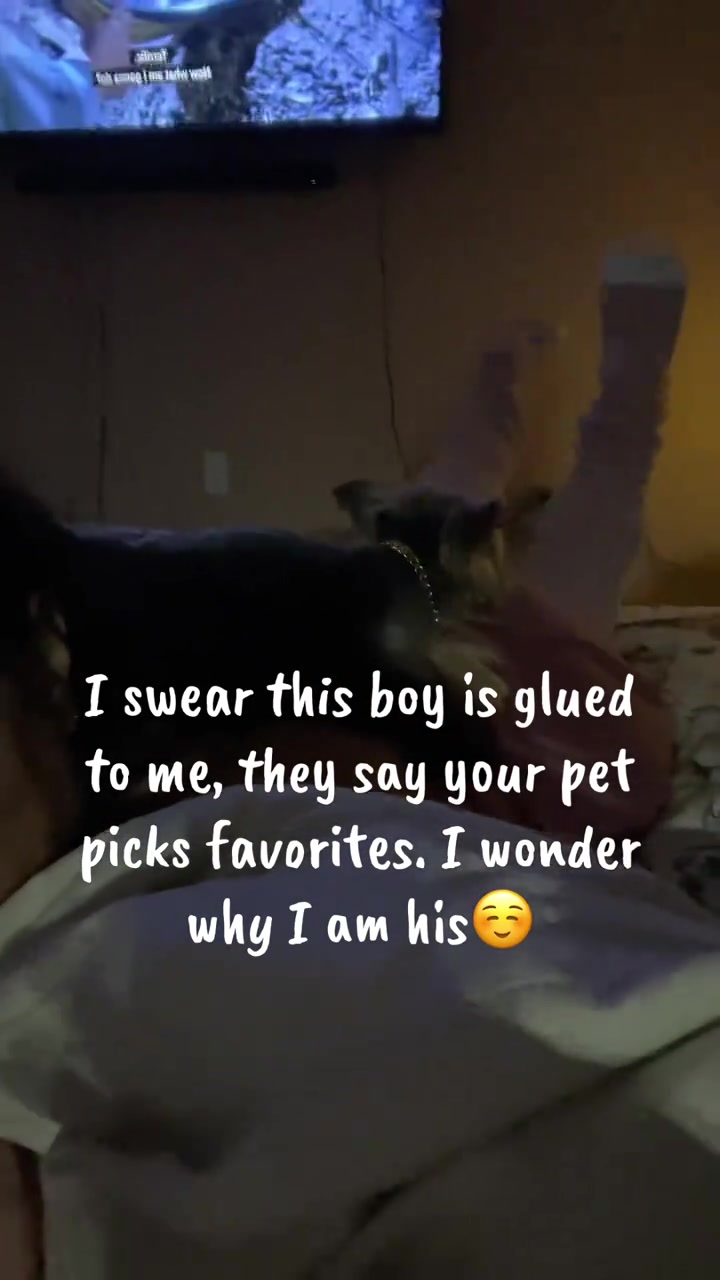 @🌸 AMY