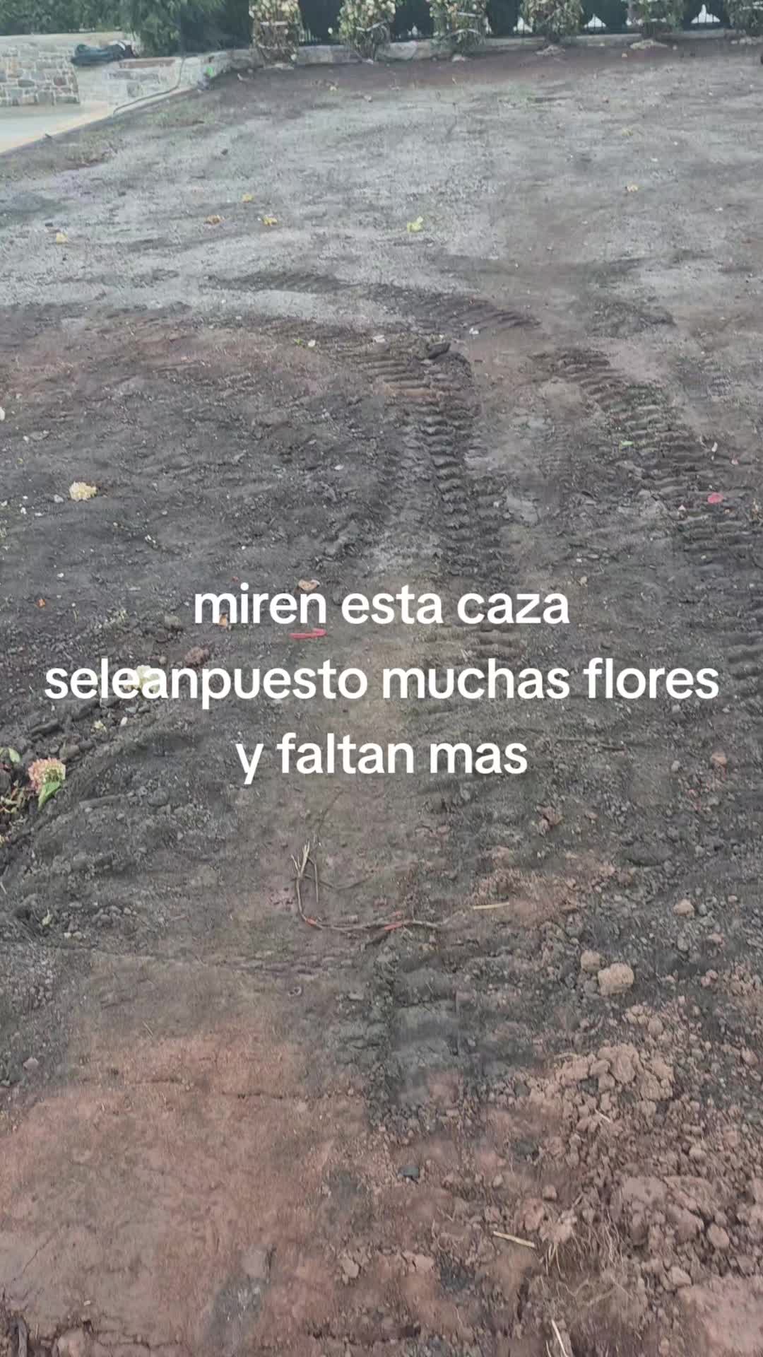 @hernan navarete