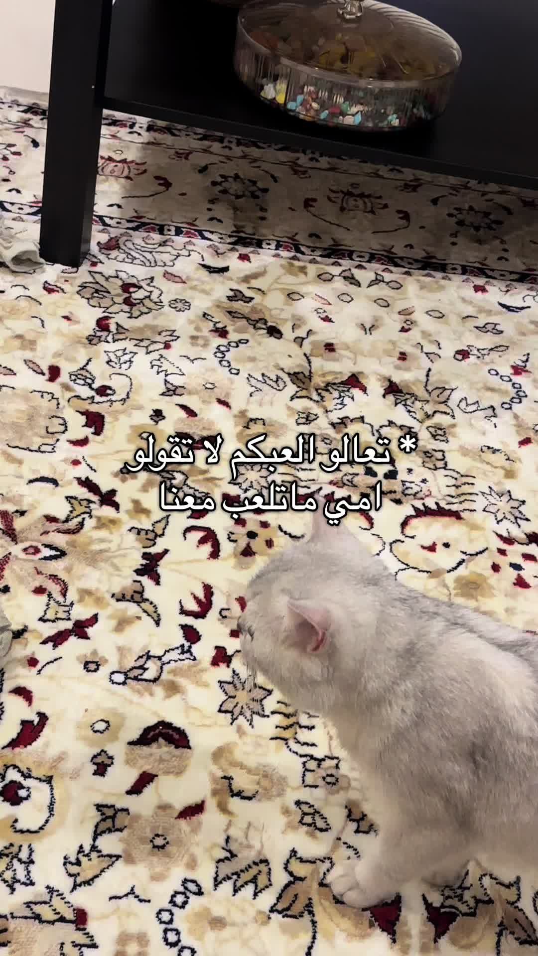 @الديموزيل ✨