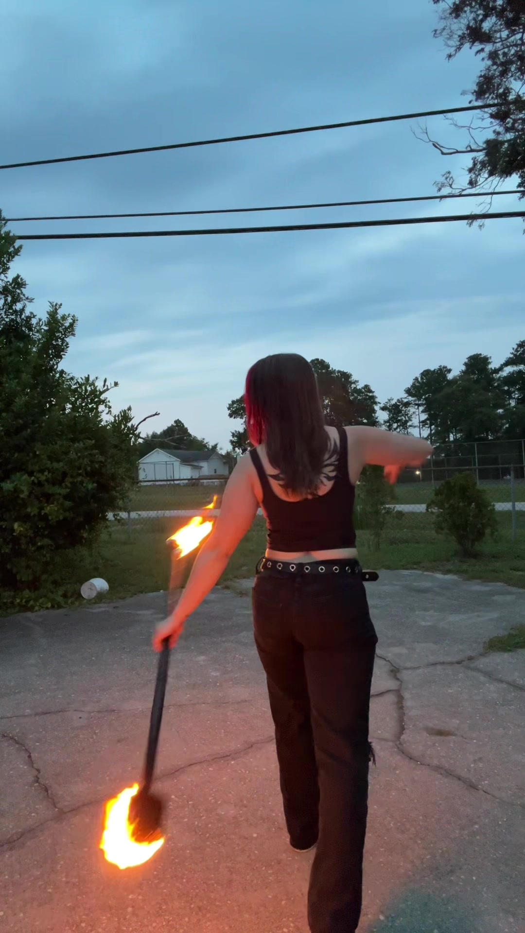 @saberqueentiger
