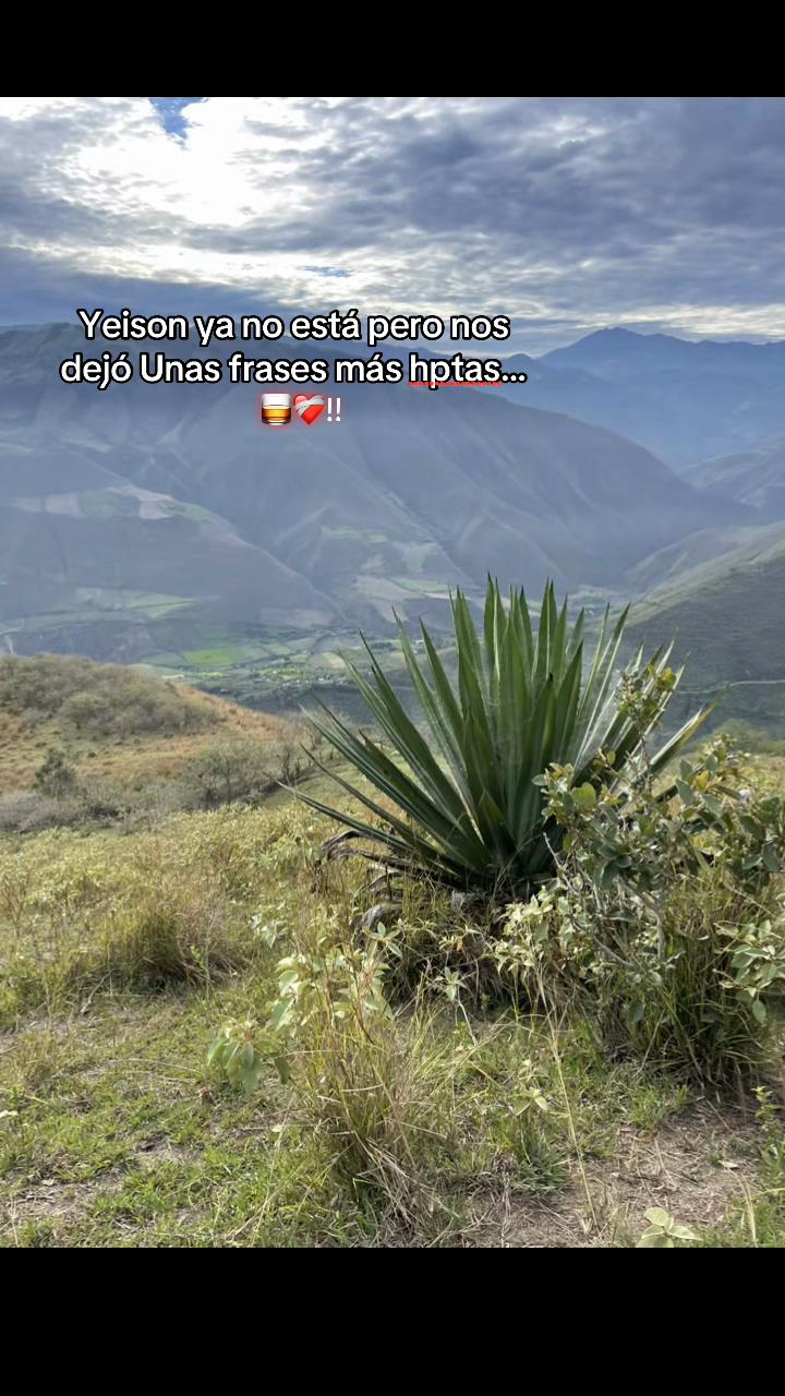 @彡[ʀᴏʟɪᴛᴀꜱ ツ࿐