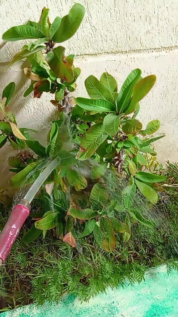 @ঘুমন্ত শহর