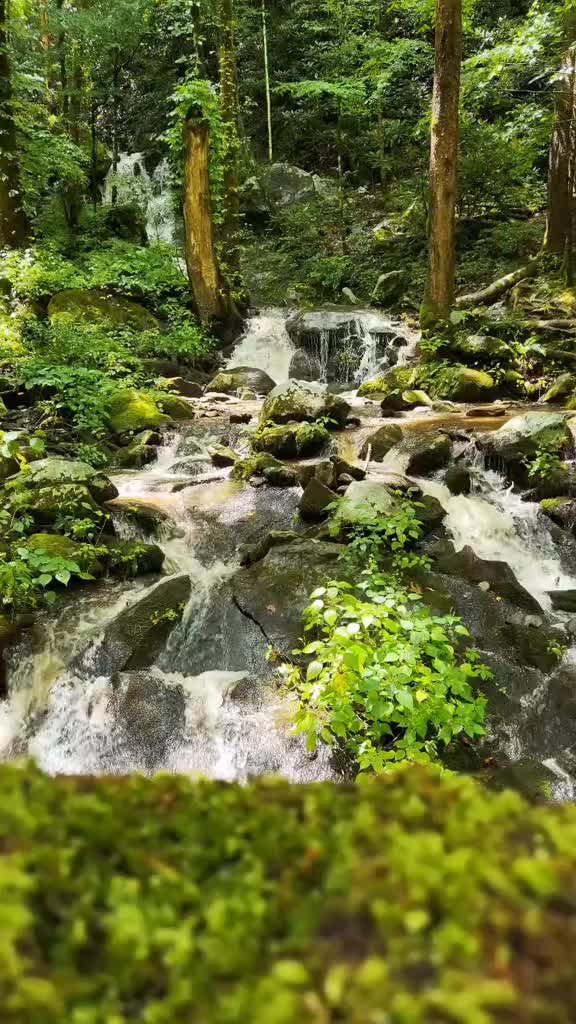 @Kat_💚the💦nature🌿lover💙
