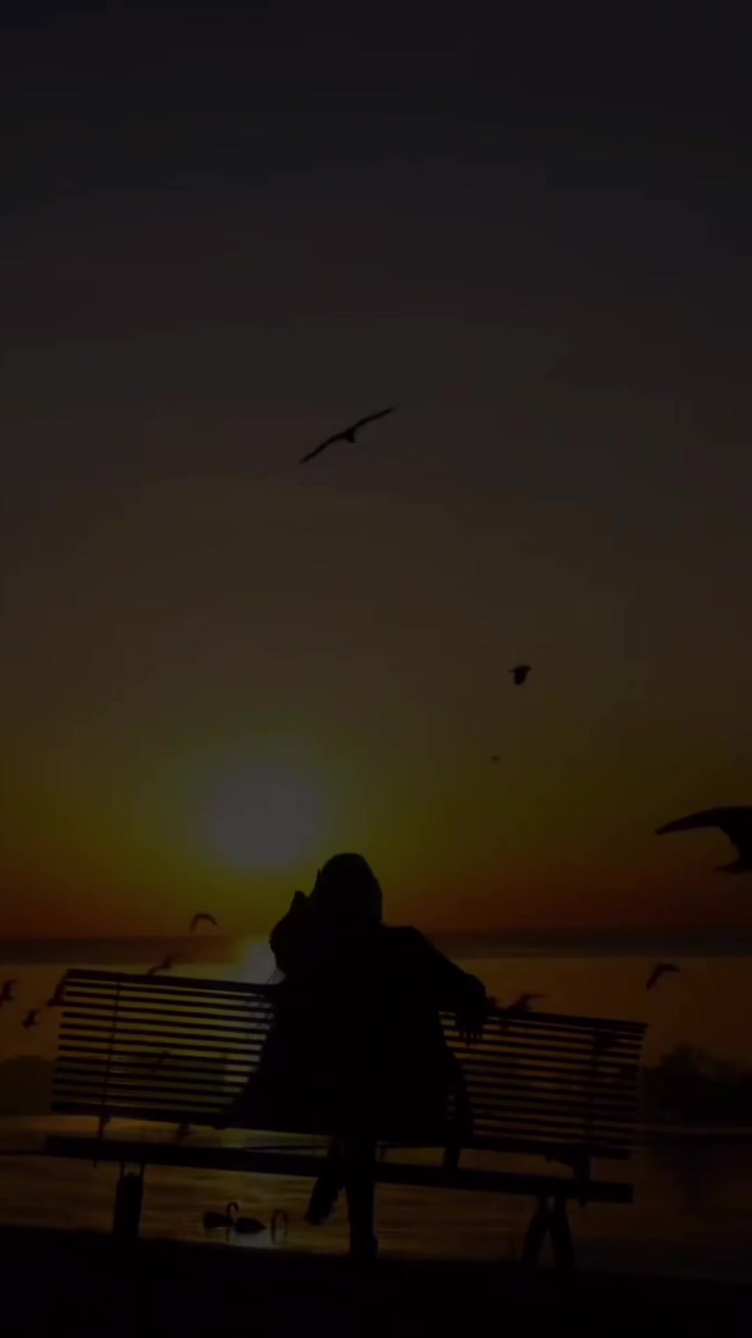 @𝕛ꪮꪑꪖꪀꪖ