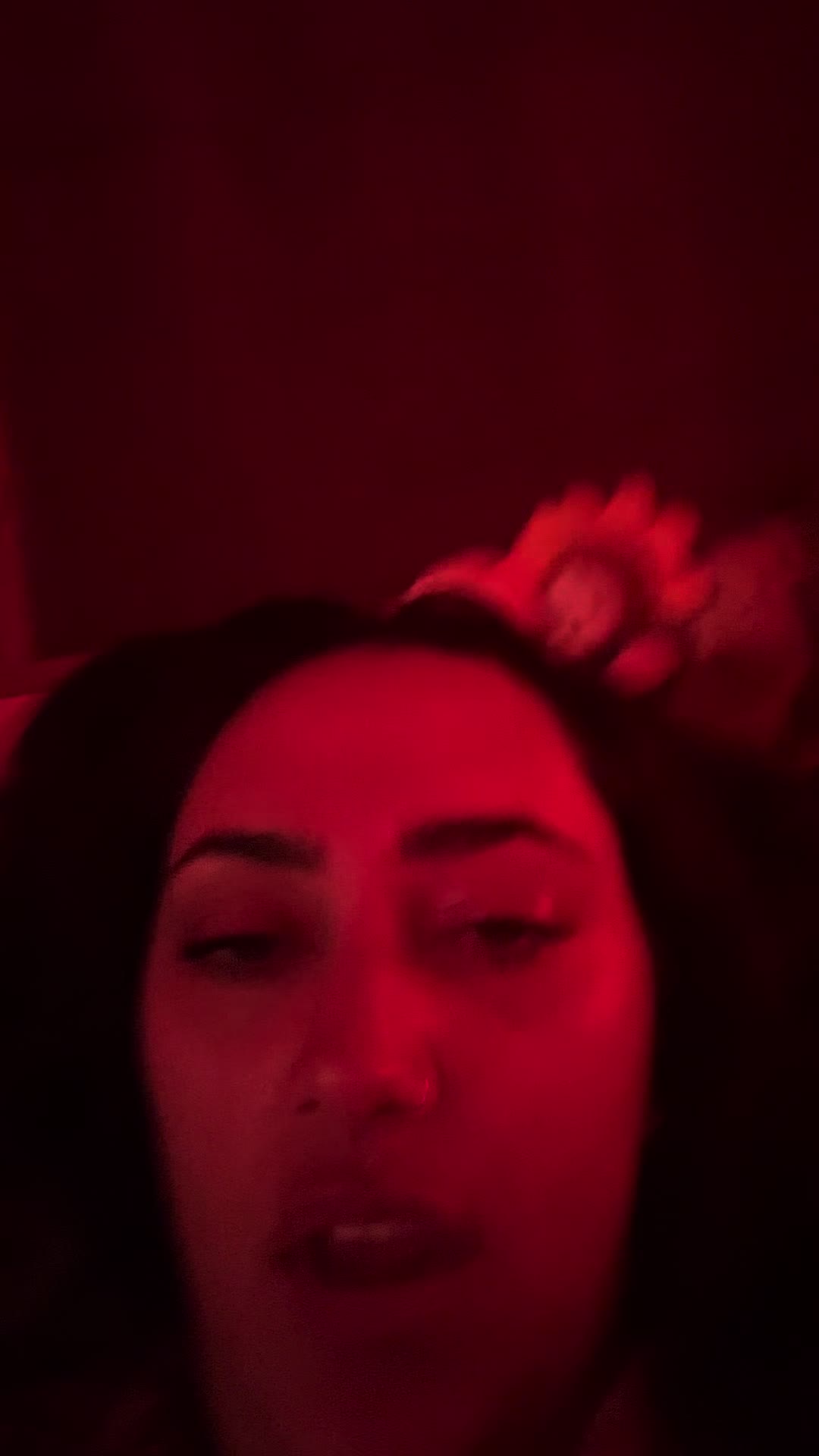 @laurenlightbeam